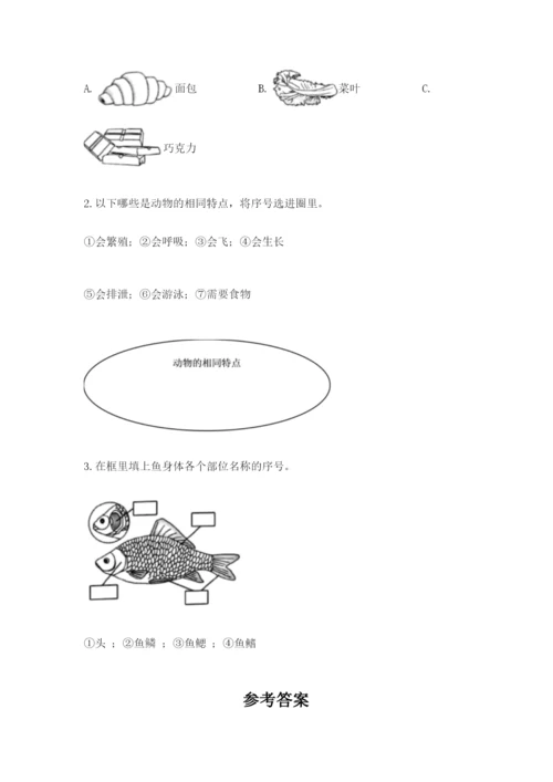 教科版一年级下册科学期末测试卷加精品答案.docx