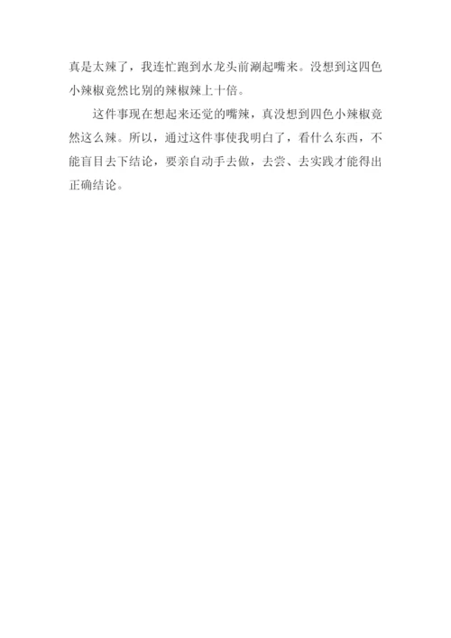 最难忘的一件事300字.docx