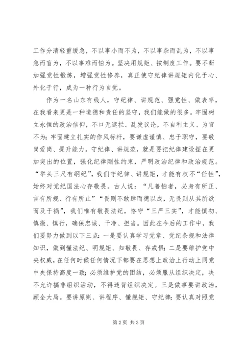 守纪律,讲规范,强党性,做表率.docx