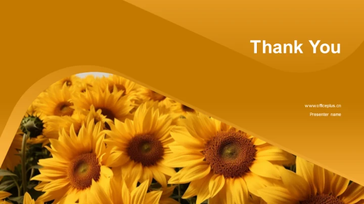 夏至营销战略解析