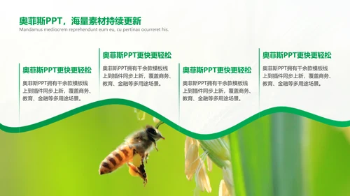 绿色简约风农学专业科研总结