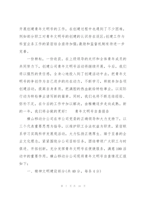 自检自查报告范文.docx