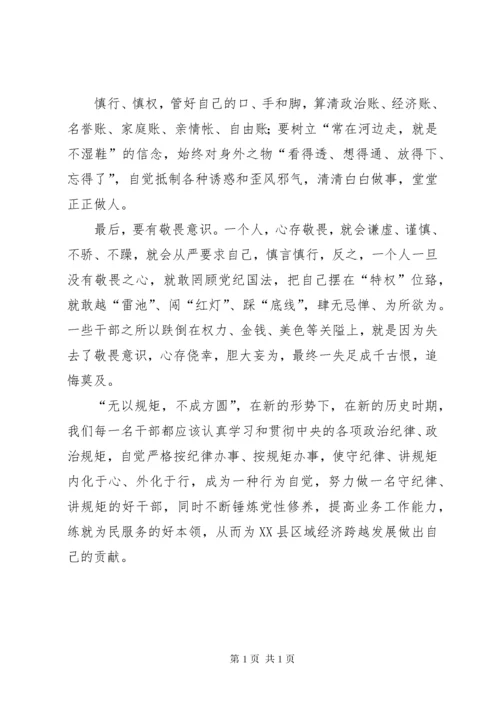 XX年严明政治纪律,严守政治规矩学习心得体会 (2).docx