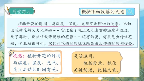 【核心素养】部编版语文三年级下册-语文园地四（课件）