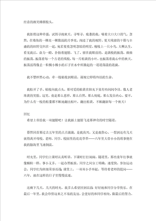 难忘的回忆作文