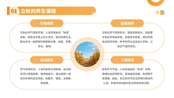 橙色卡通风走进立秋探寻节气文化