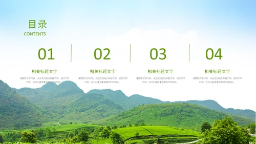 清新茶叶茶道春茶农村旅游茶园绿茶红茶PPT