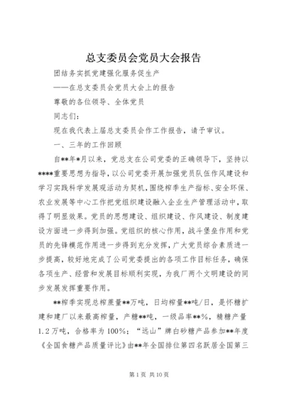 总支委员会党员大会报告.docx