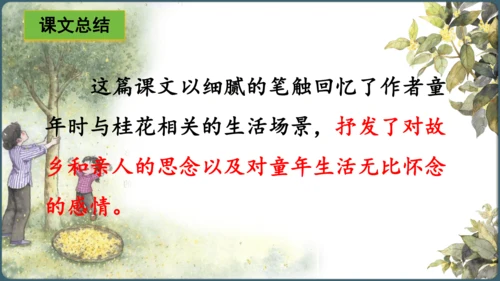 3.桂花雨  课件