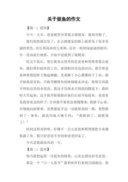 关于捉鱼的作文.docx