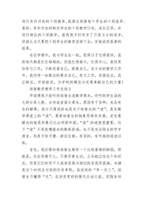 培智数学教学工作总结.docx