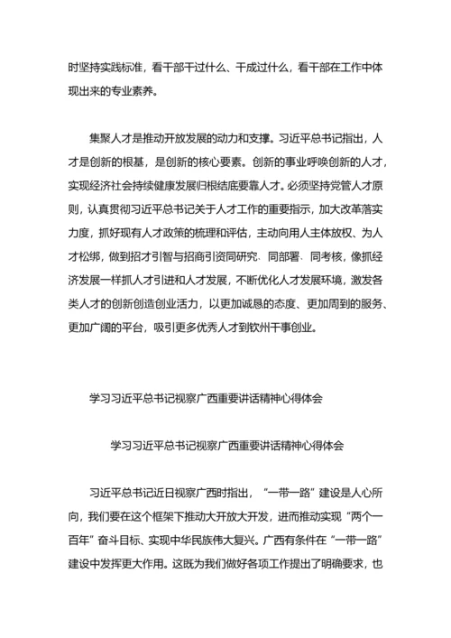 学习视察广西重要讲话精神心得体会.docx