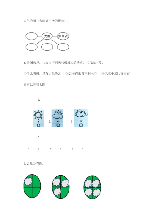 教科版三年级上册科学期末测试卷含完整答案【夺冠系列】.docx