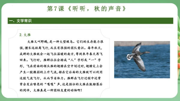统编版2024三年级语文上册第二单元复习   课件
