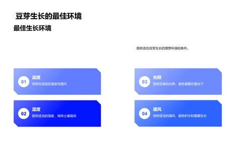 豆芽实验成果汇报PPT模板