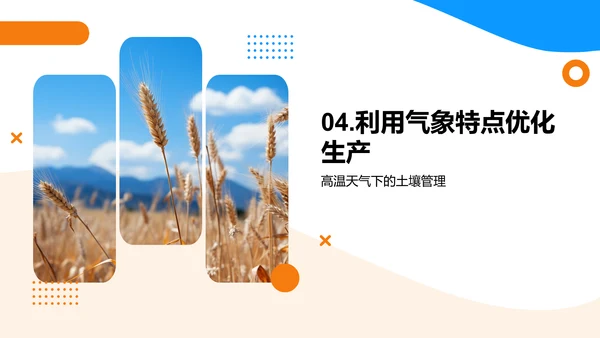 夏至农业气候指导