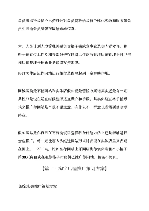 店铺营销专业策划专项方案.docx