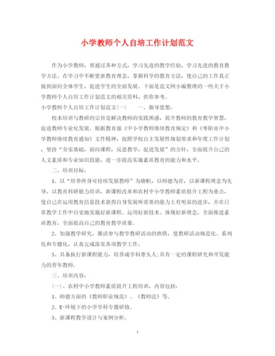 精编之小学教师个人自培工作计划范文.docx