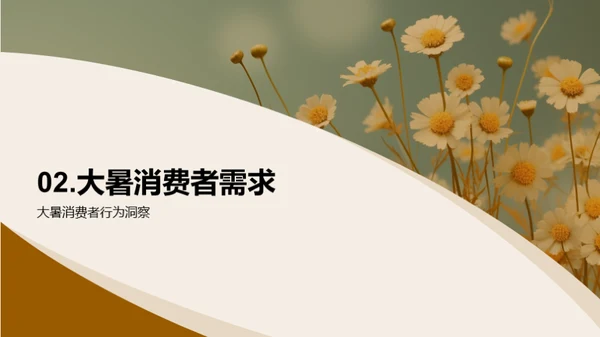 大暑营销策略解析