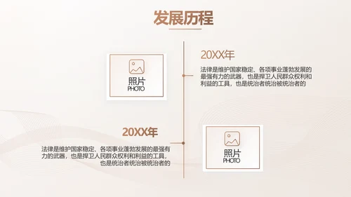 简约大气法律知识工作汇报动态PPT