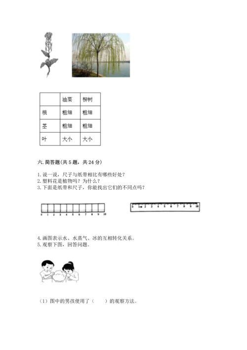 教科版一年级上册科学期末测试卷含完整答案【夺冠系列】.docx