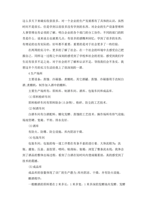 酒厂的实习报告模板锦集八篇.docx