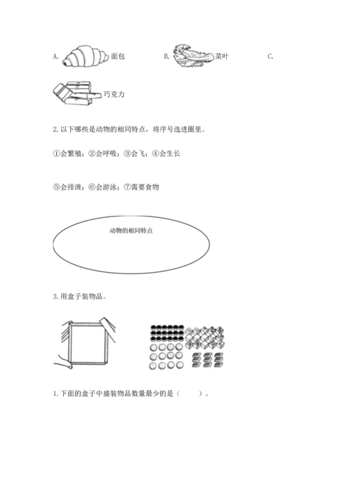 教科版一年级下册科学期末测试卷精品带答案.docx