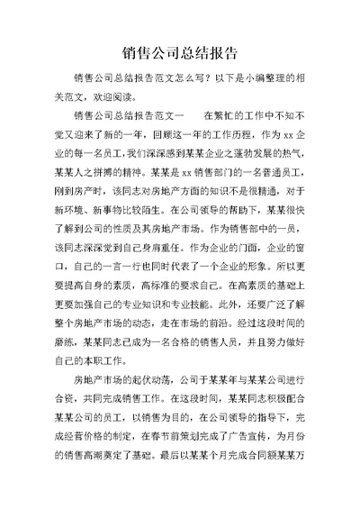 销售公司总结报告