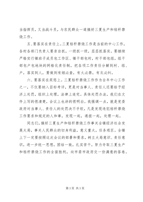 在全镇“三夏”秸秆禁烧暨防汛工作誓师大会上的讲话.docx