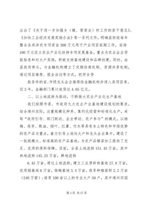 依托农业产业化_1.docx