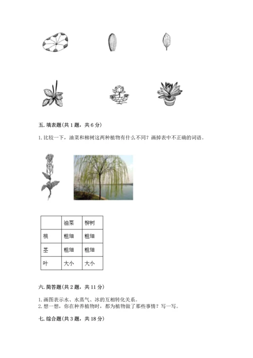 教科版科学一年级上册第一单元《植物》测试卷及答案（各地真题）.docx