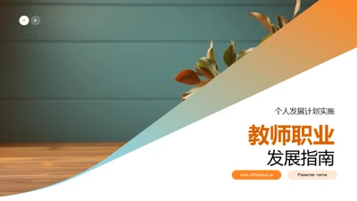 教师职业发展指南