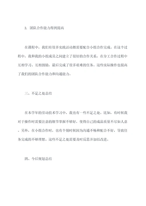 高中劳动技术课个人总结