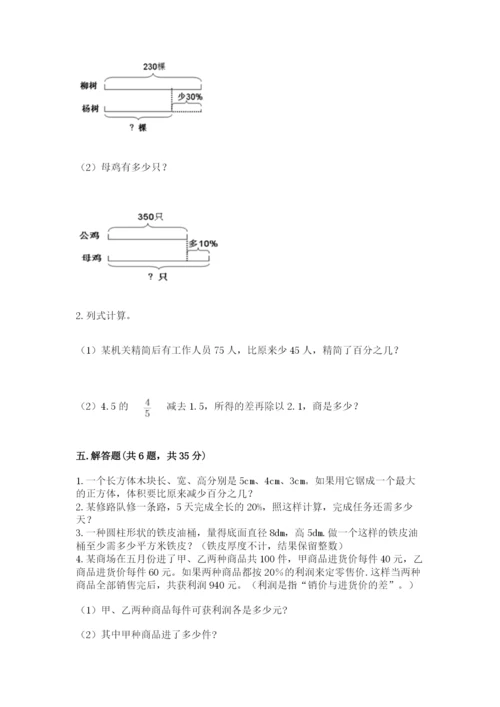 苏教版六年级下册数学期中测试卷完美版.docx