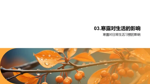 探索寒露节气