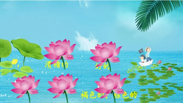 外研版三起三年级下册Review of Module 10课件（共24张PPT)