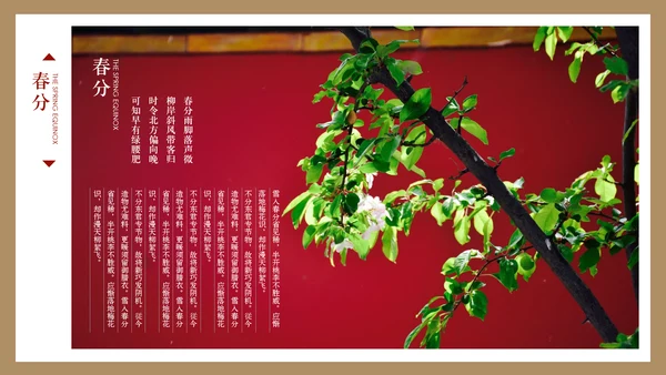最美故宫中国风画册PPT