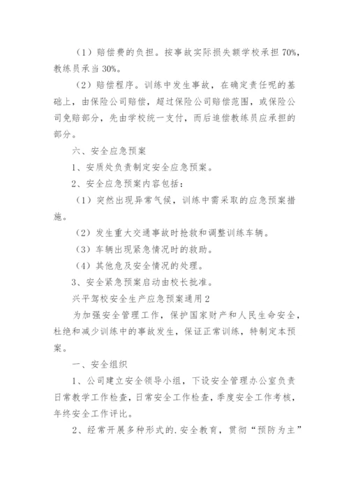 兴平驾校安全生产应急预案.docx