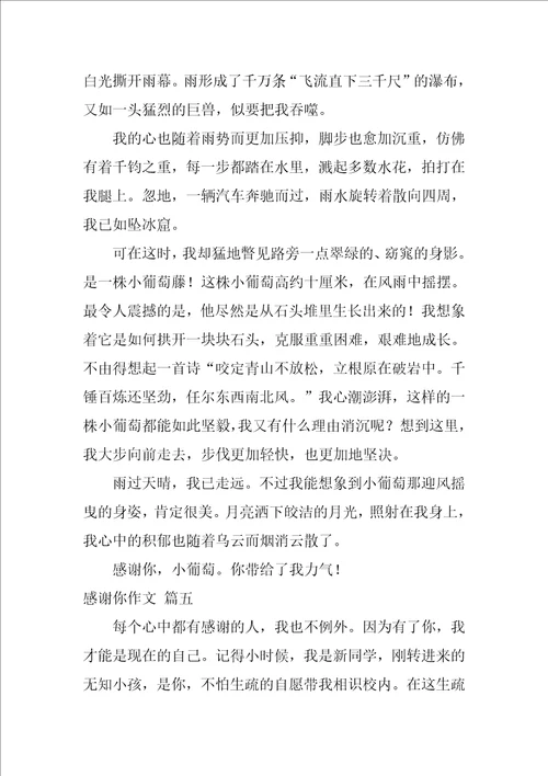 谢谢你什么的作文精彩7篇