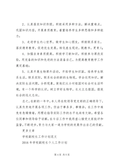 学校副校长个人工作计划.docx