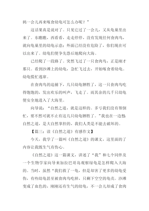 自然之道作文300字.docx