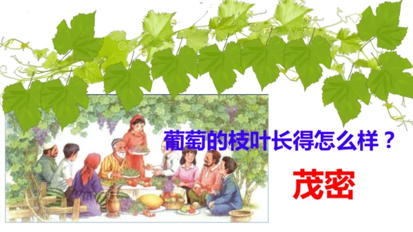 第11课《葡萄沟》课件