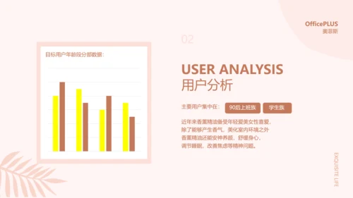 简约ins风粉色香薰商业计划书