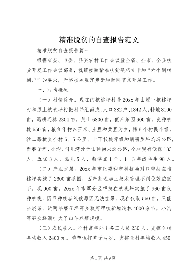精准脱贫的自查报告范文.docx