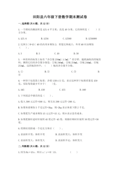 田阳县六年级下册数学期末测试卷及一套参考答案.docx