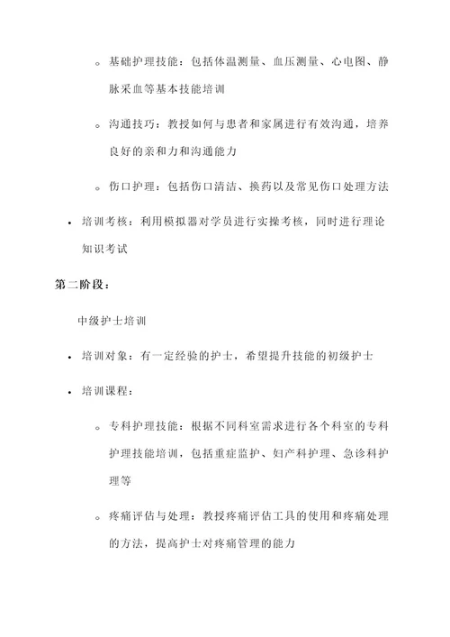 护士分层培训方案与计划