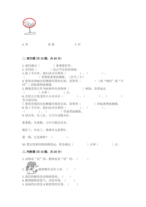 教科版一年级上册科学期末测试卷（研优卷）.docx