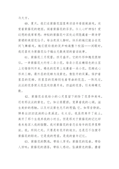 描写紫藤花的句子.docx
