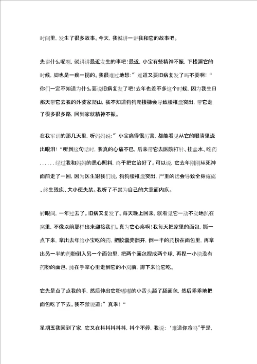 我和动物的故事作文400字作文我和动物的故事作文400字
