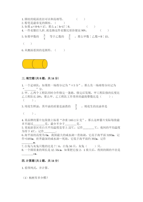 囊谦县六年级下册数学期末测试卷（突破训练）.docx
